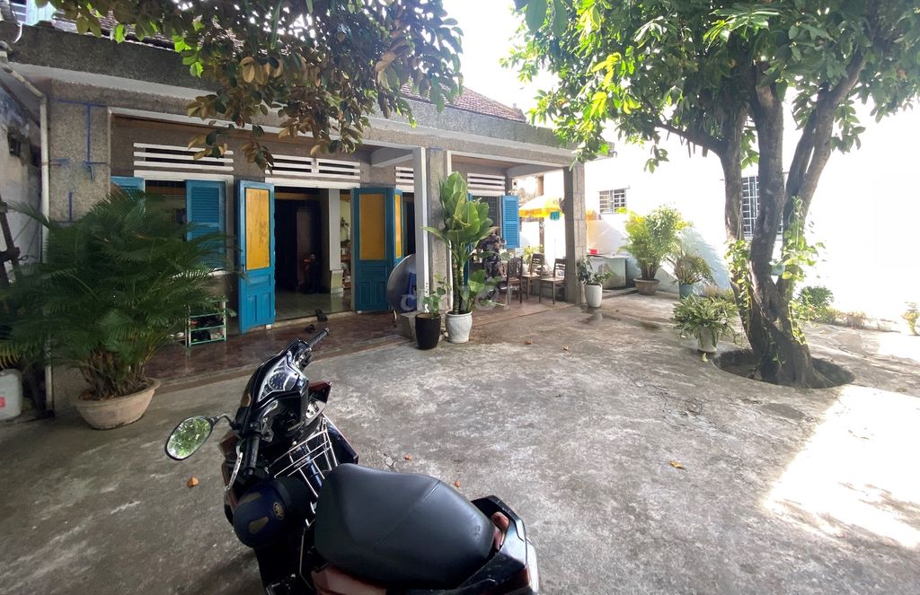 4340472 ảnh đại diện 1