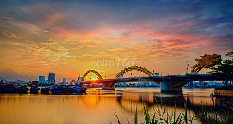 4346641 ảnh đại diện 1