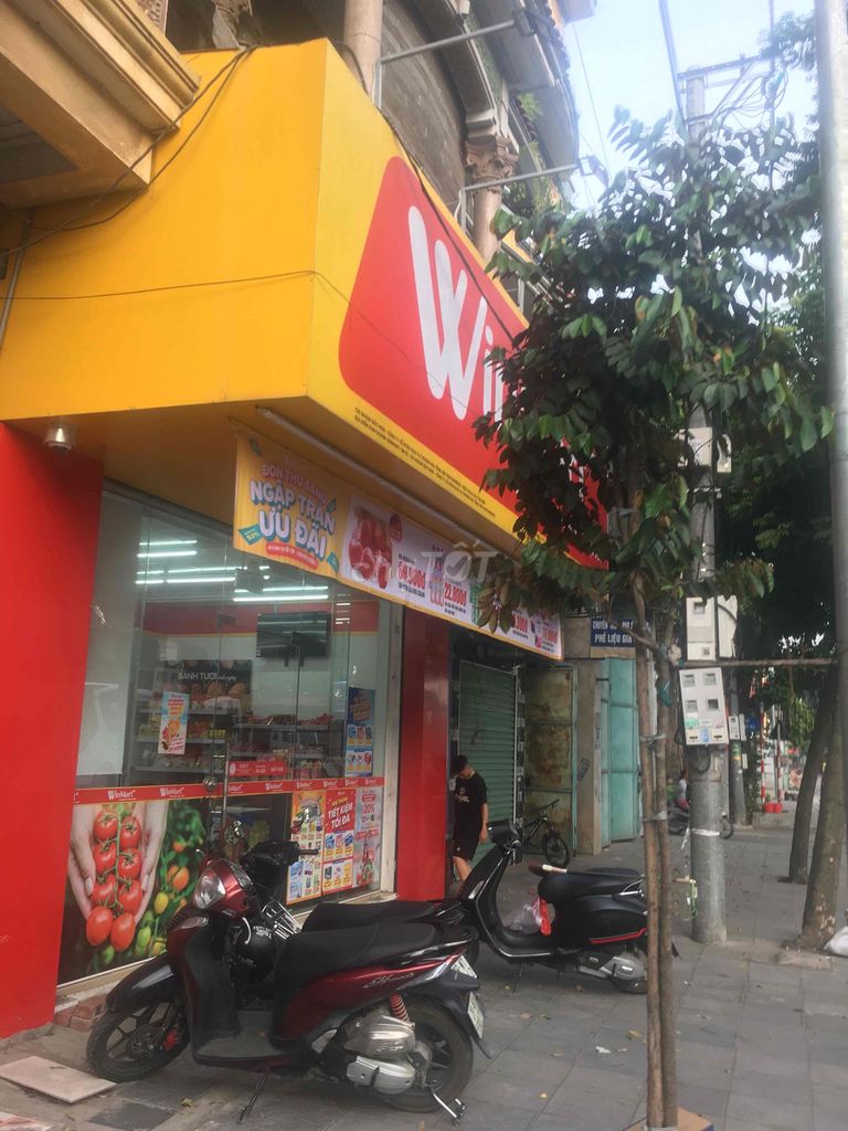 4342457 ảnh đại diện 1