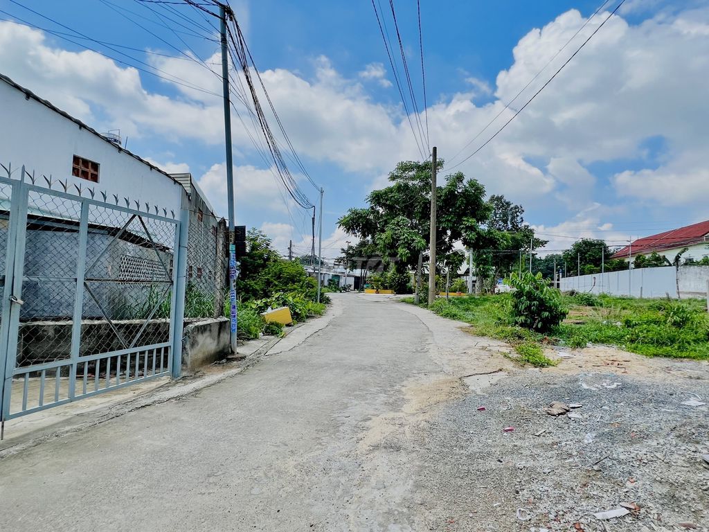 4346611 ảnh đại diện 1