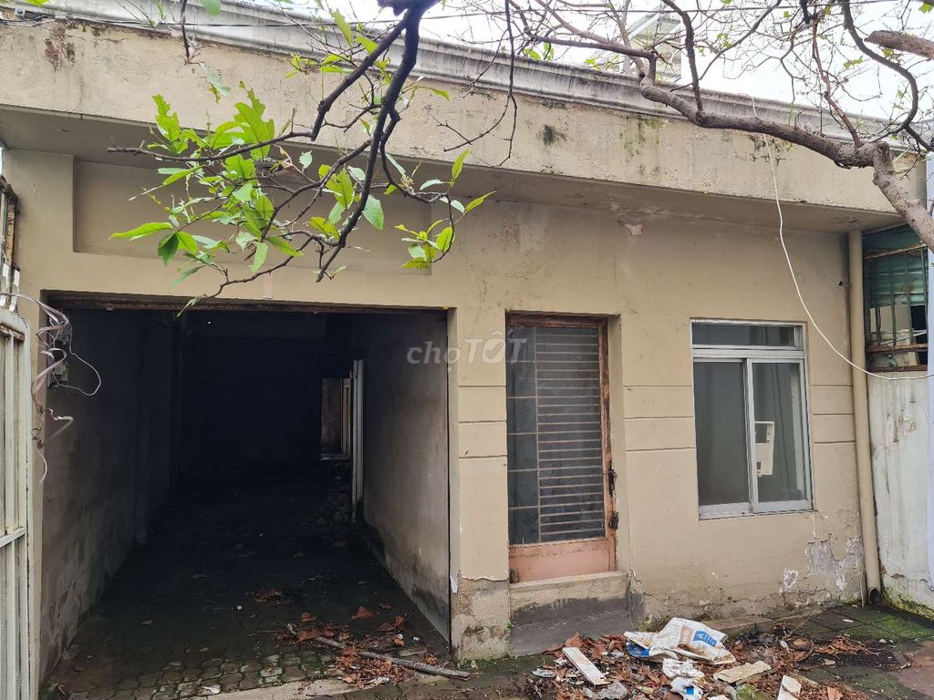 4342884 ảnh đại diện 1