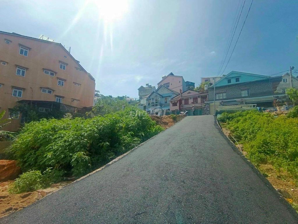 4341983 ảnh đại diện 2