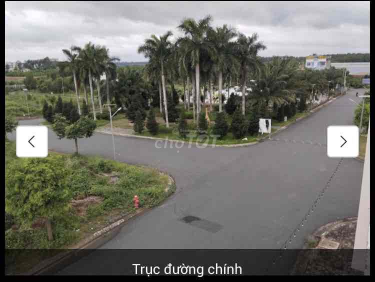 4342132 ảnh đại diện 2