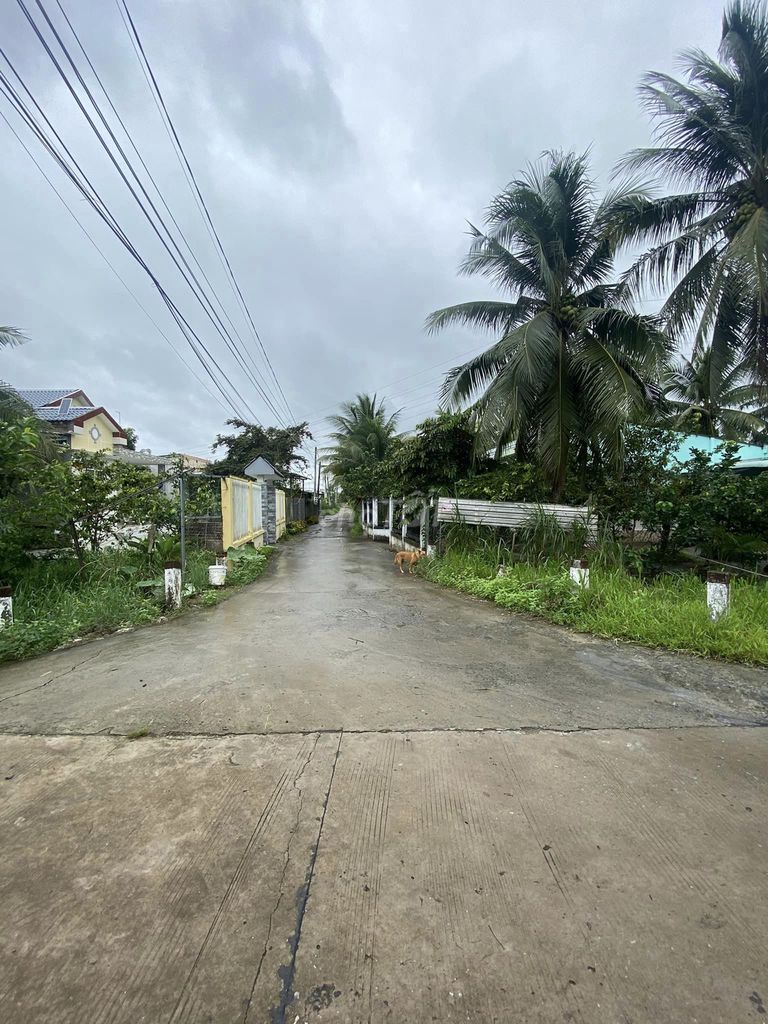 4347613 ảnh đại diện 2