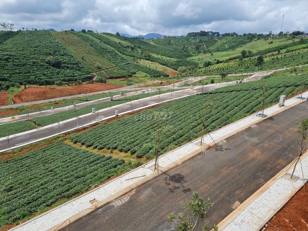 4347703 ảnh đại diện 2