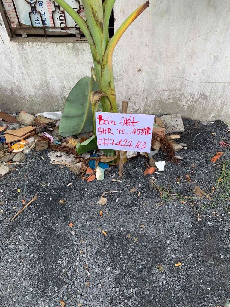 4347601 ảnh đại diện 2