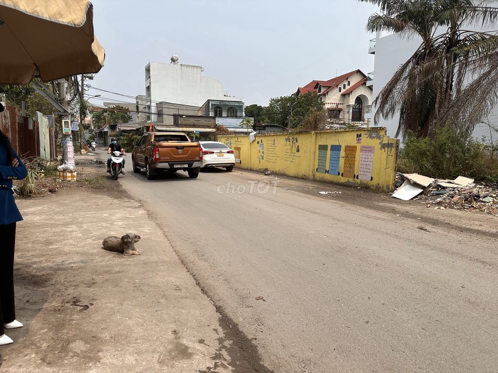 4343273 ảnh đại diện 1