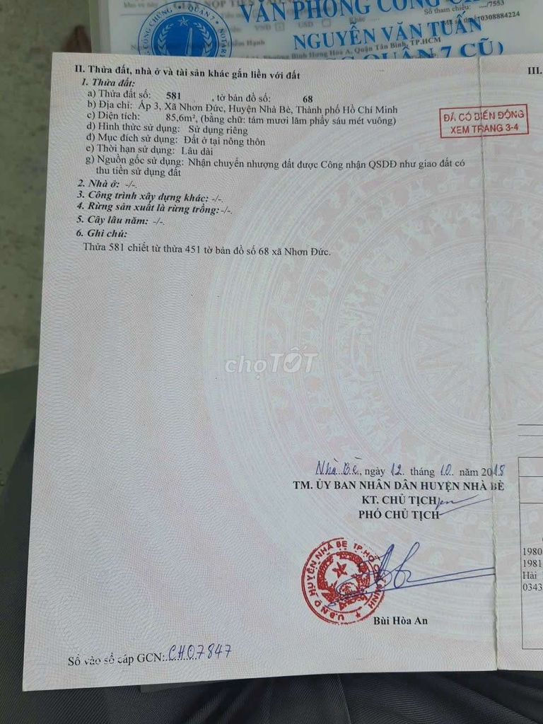 4343478 ảnh đại diện 2