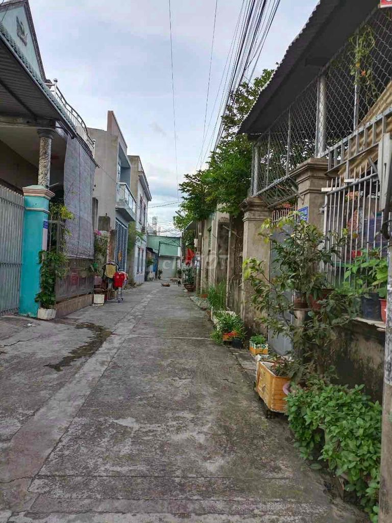 4347599 ảnh đại diện 1
