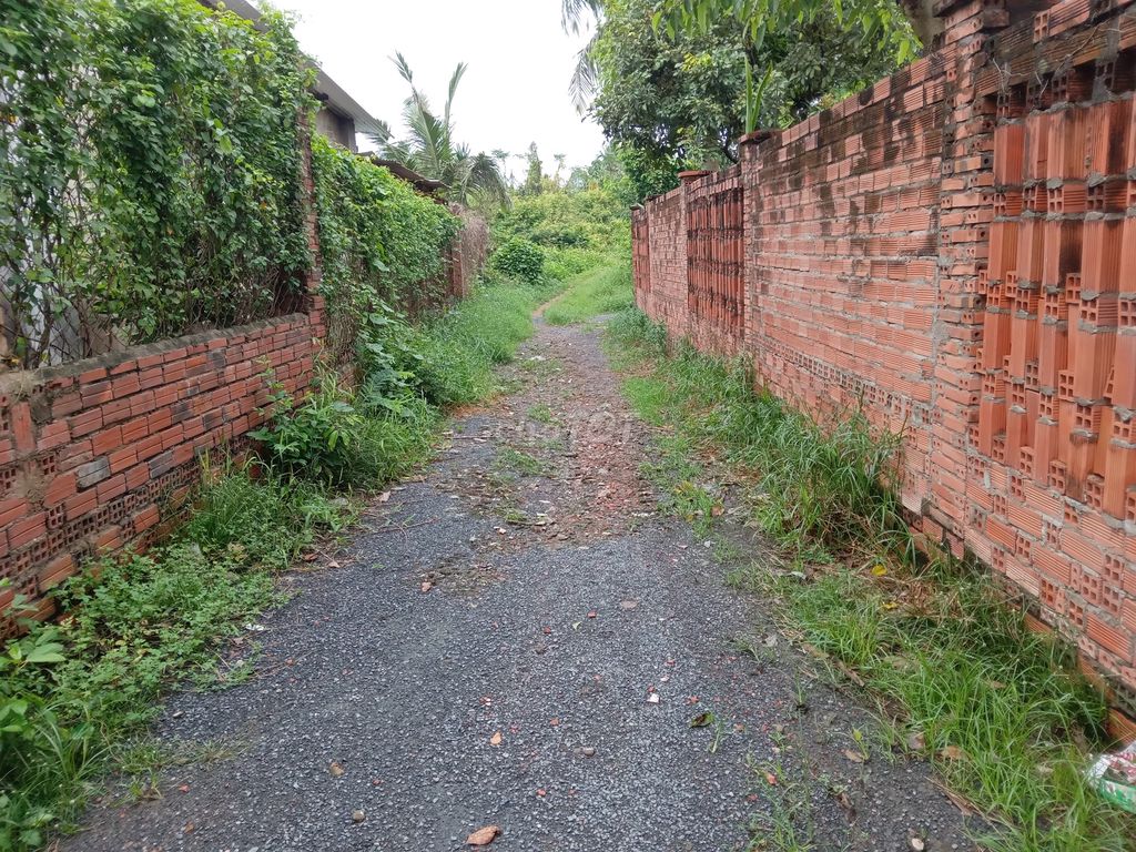 4344021 ảnh đại diện 1