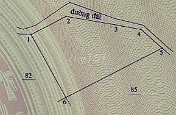 4346709 ảnh đại diện 1