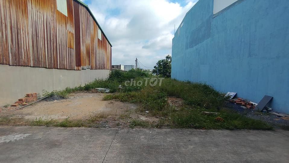4345263 ảnh đại diện 2