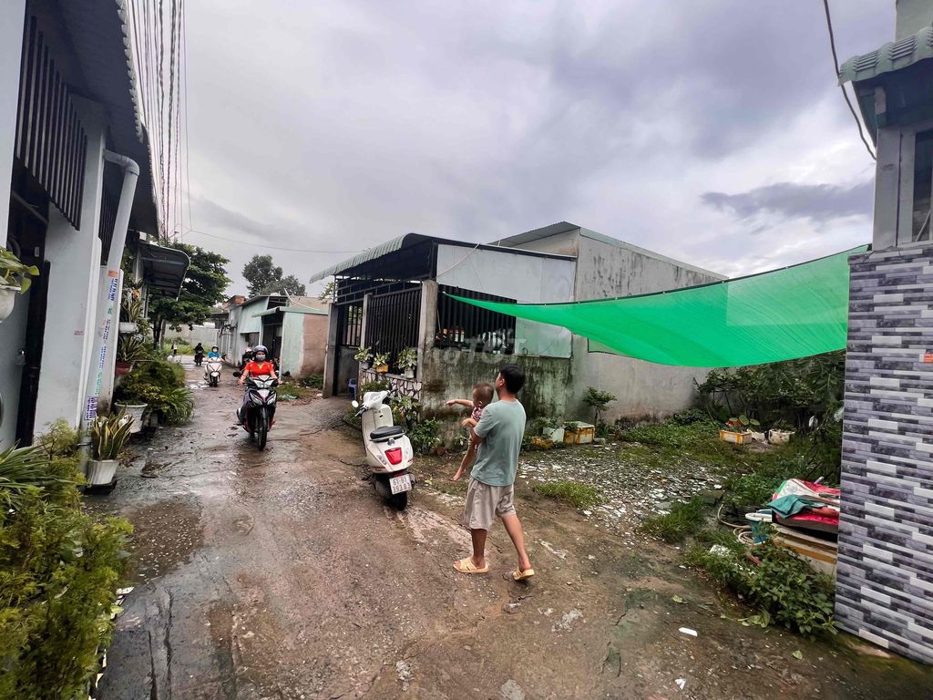 4346998 ảnh đại diện 1
