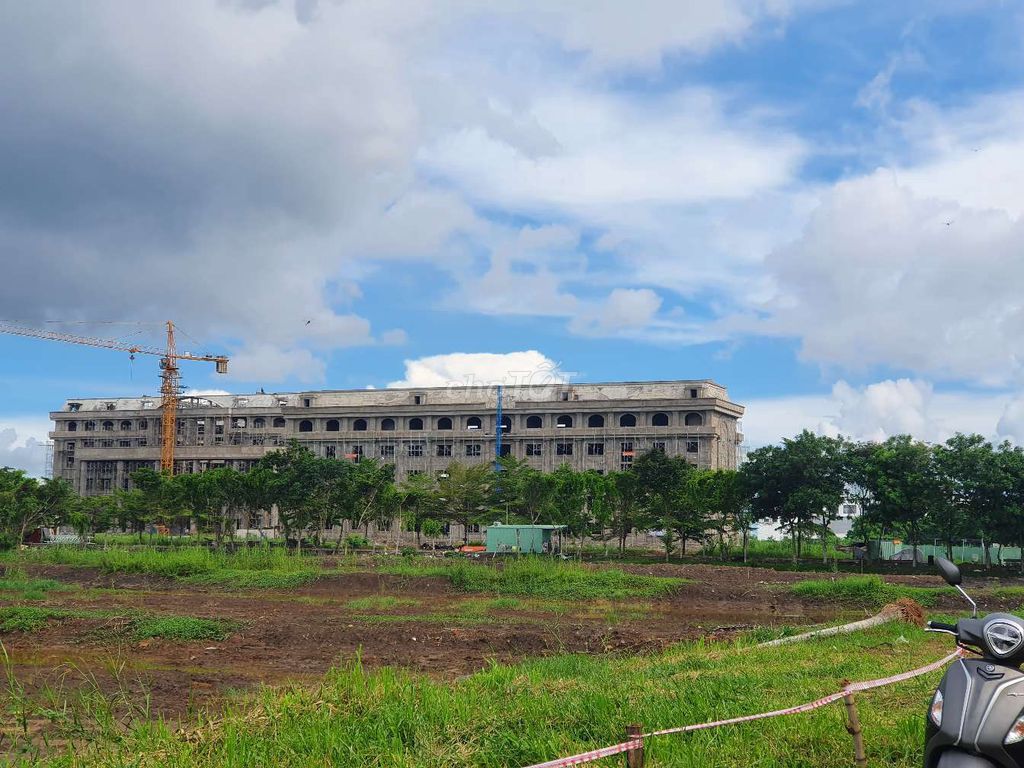4342174 ảnh đại diện 1