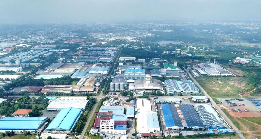 4343581 ảnh đại diện 2