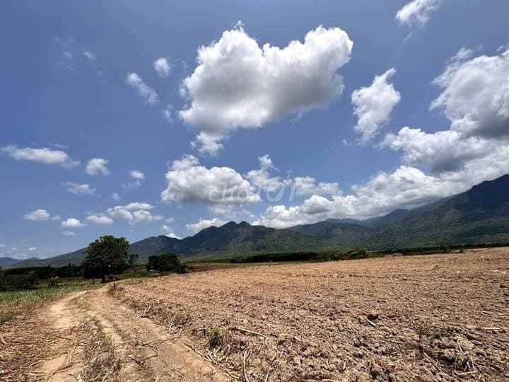 4346532 ảnh đại diện 1