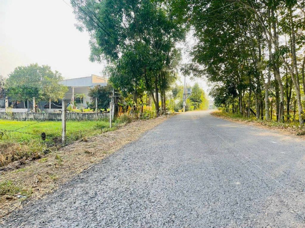 4347483 ảnh đại diện 2