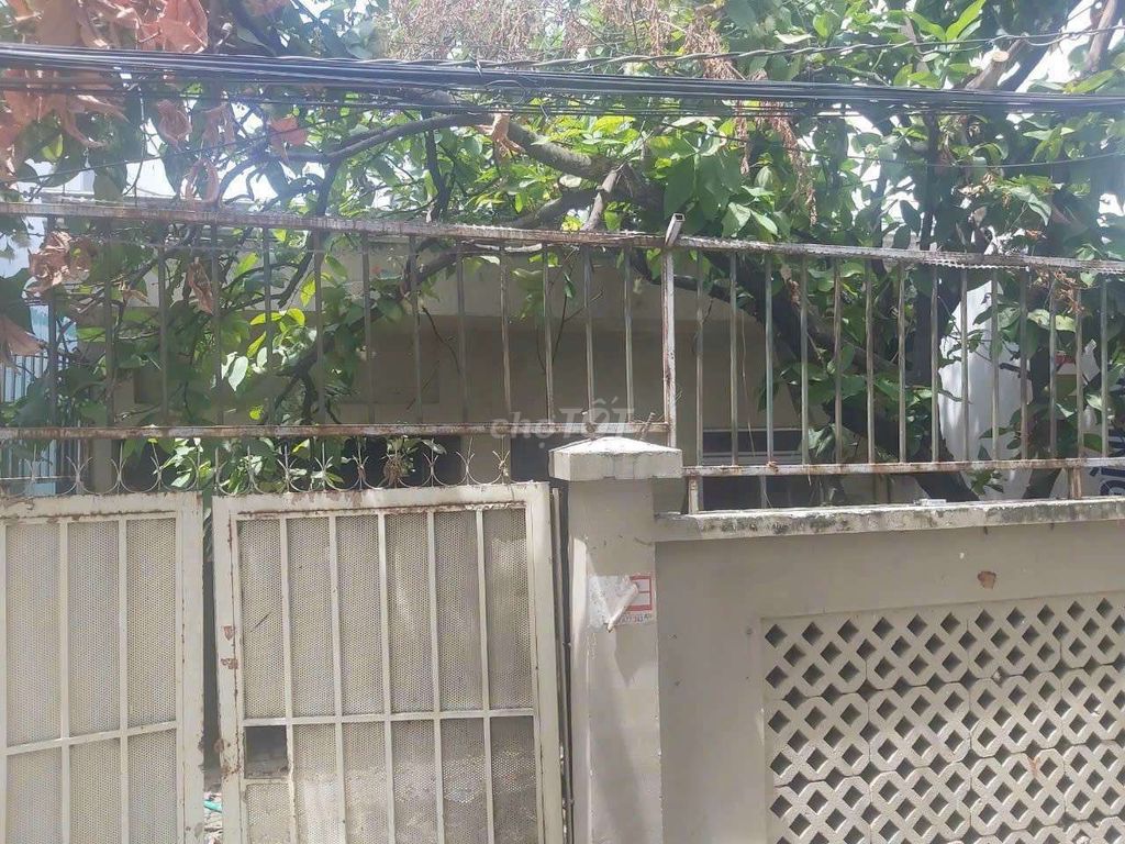 4342109 ảnh đại diện 1