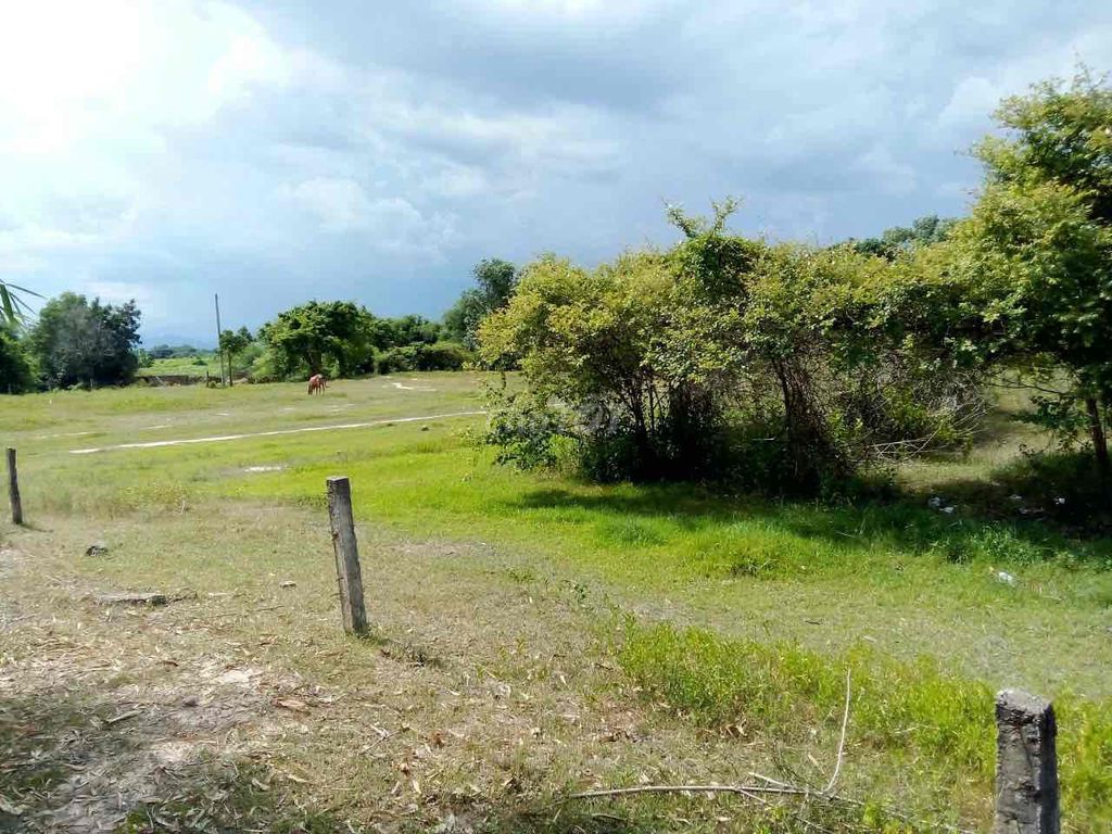 4345427 ảnh đại diện 2