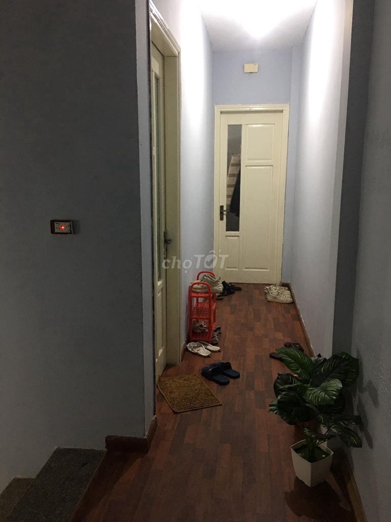 4341809 ảnh đại diện 1