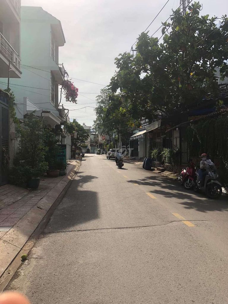 4344598 ảnh đại diện 1