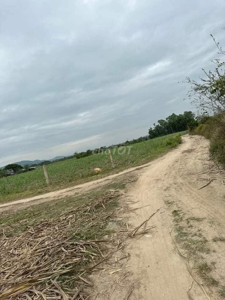 4346532 ảnh đại diện 1