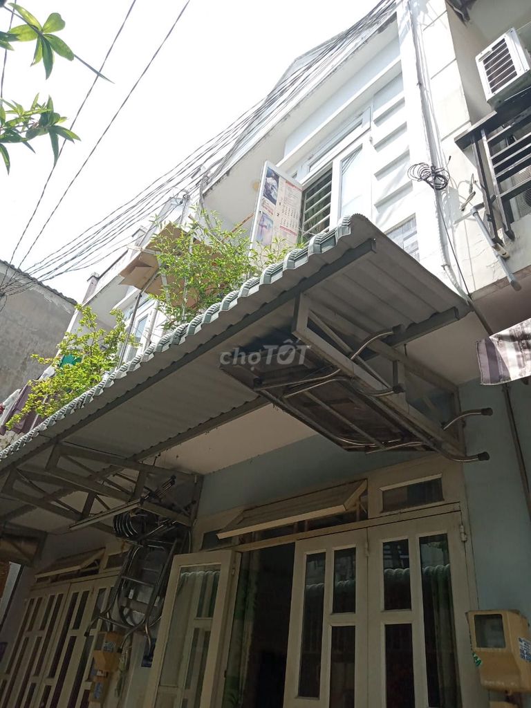 4343499 ảnh đại diện 1