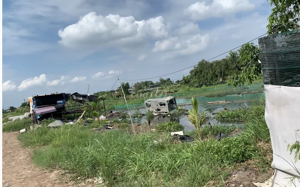 4345190 ảnh đại diện 1