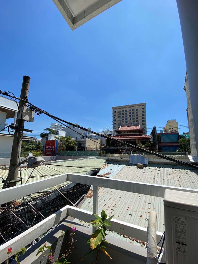 4343193 ảnh đại diện 1