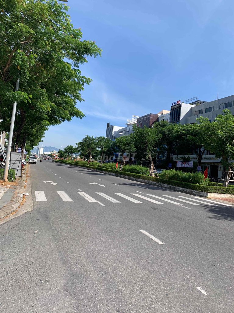 4345883 ảnh đại diện 2