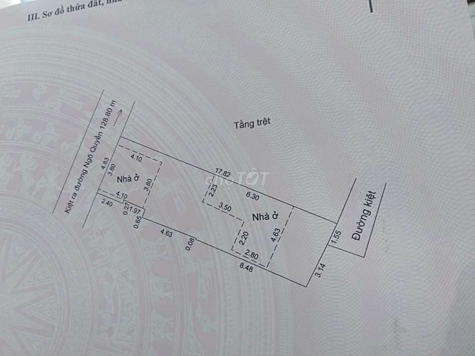 4342196 ảnh đại diện 1