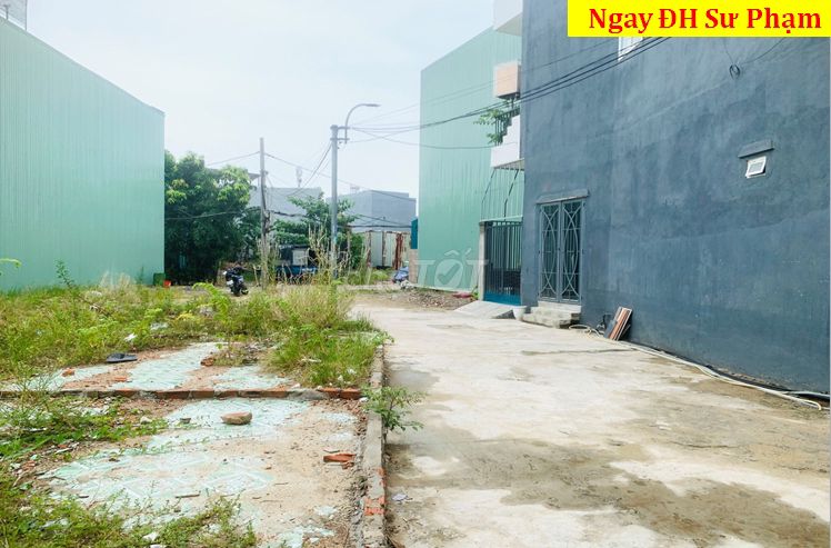 4346322 ảnh đại diện 2
