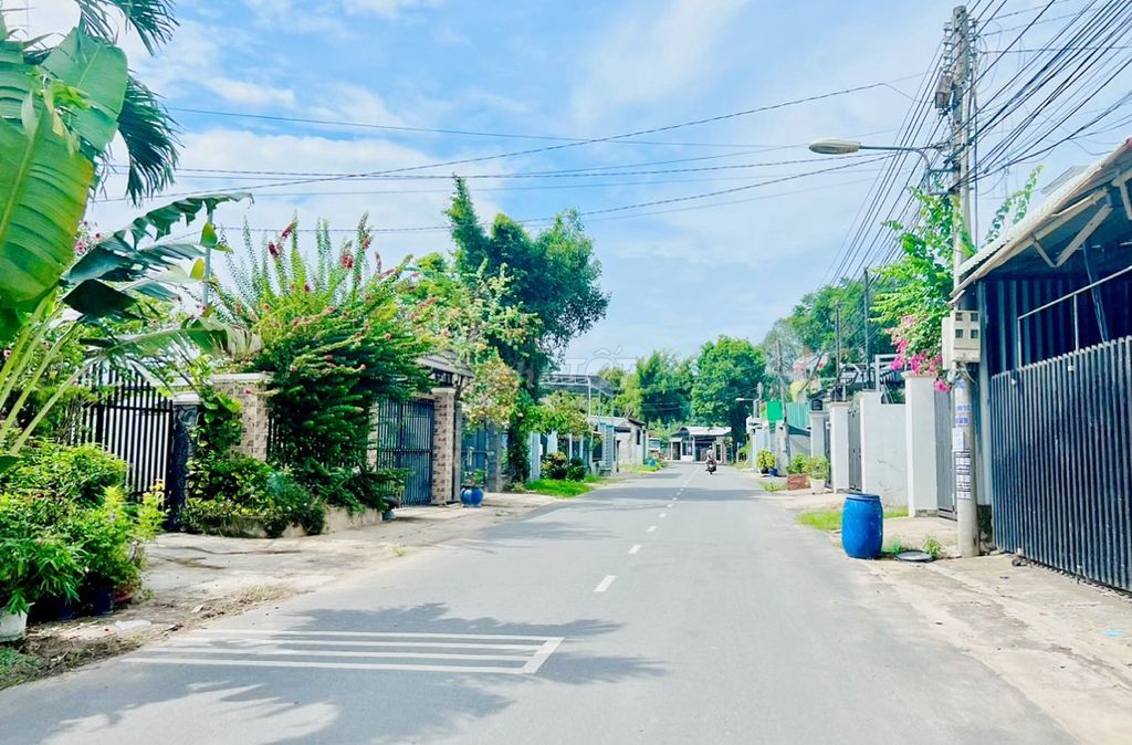 4342676 ảnh đại diện 2