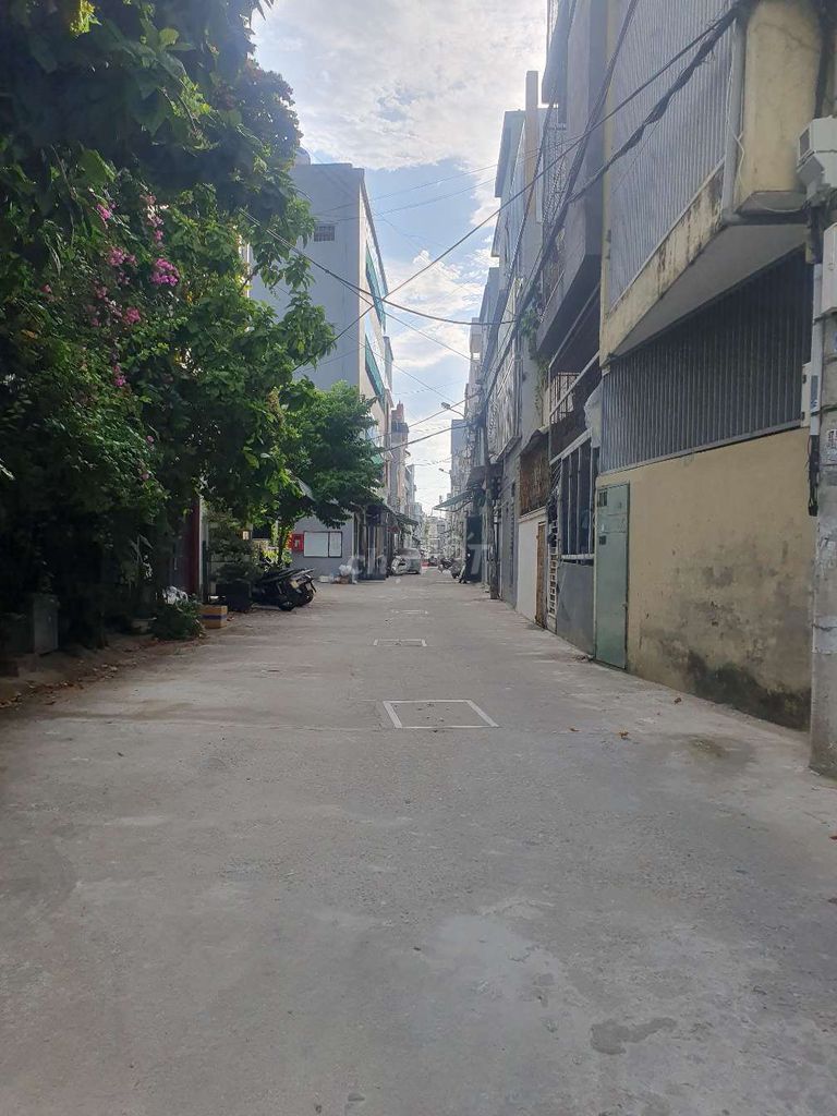 4341033 ảnh đại diện 2