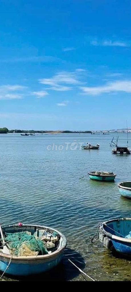 4343678 ảnh đại diện 2
