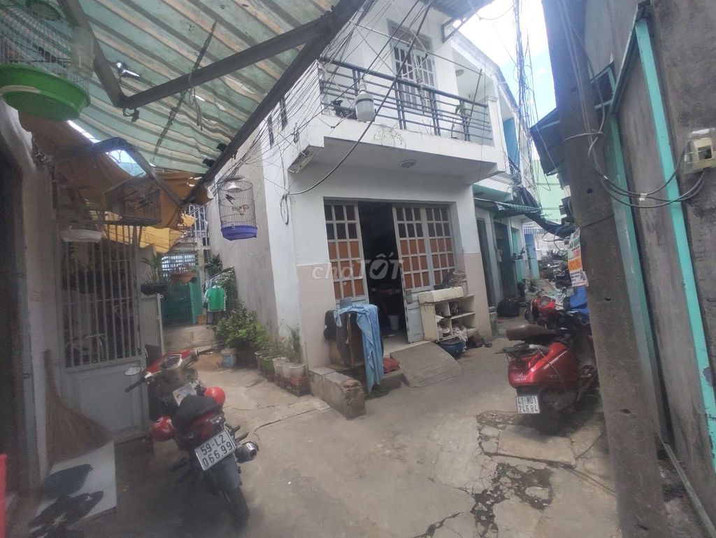 4342329 ảnh đại diện 1