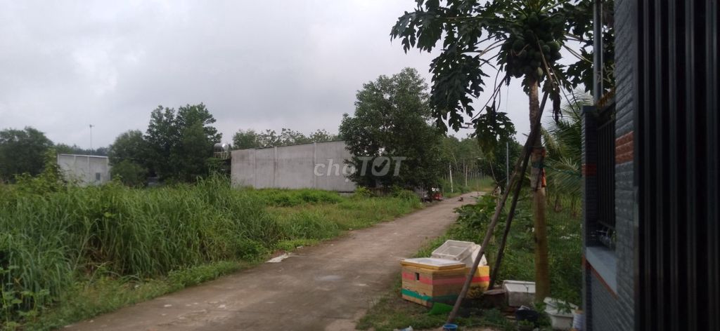 4344091 ảnh đại diện 1