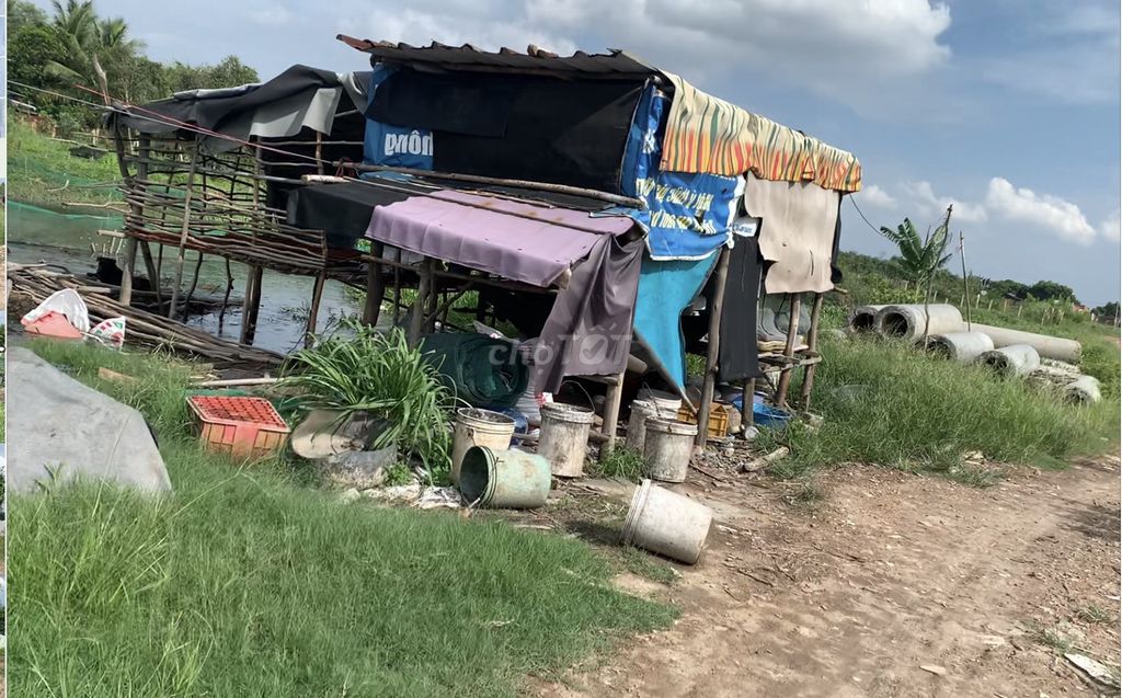4345190 ảnh đại diện 1