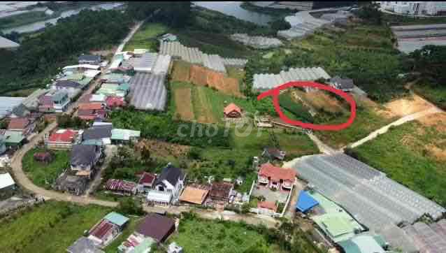 4344143 ảnh đại diện 2