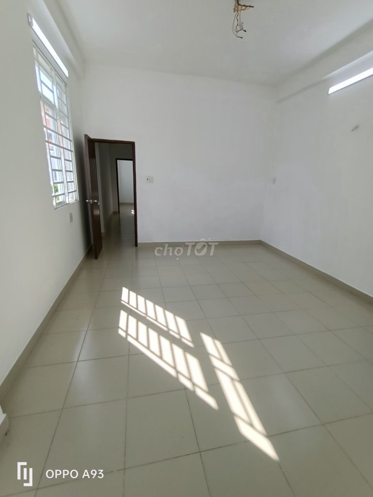 4341301 ảnh đại diện 2