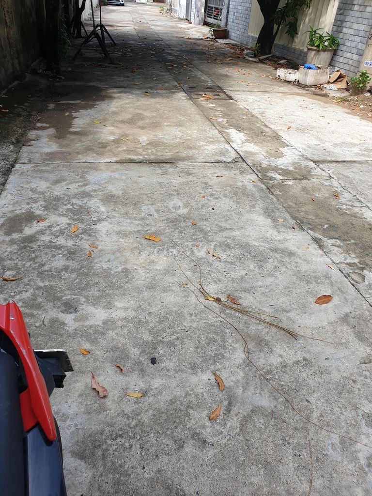 4346635 ảnh đại diện 1