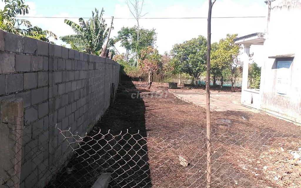 4346434 ảnh đại diện 1