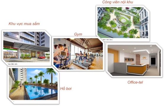 4342856 ảnh đại diện 2