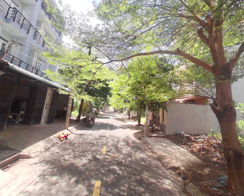 4341280 ảnh đại diện 1