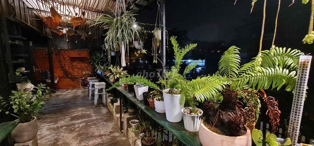4340855 ảnh đại diện 2