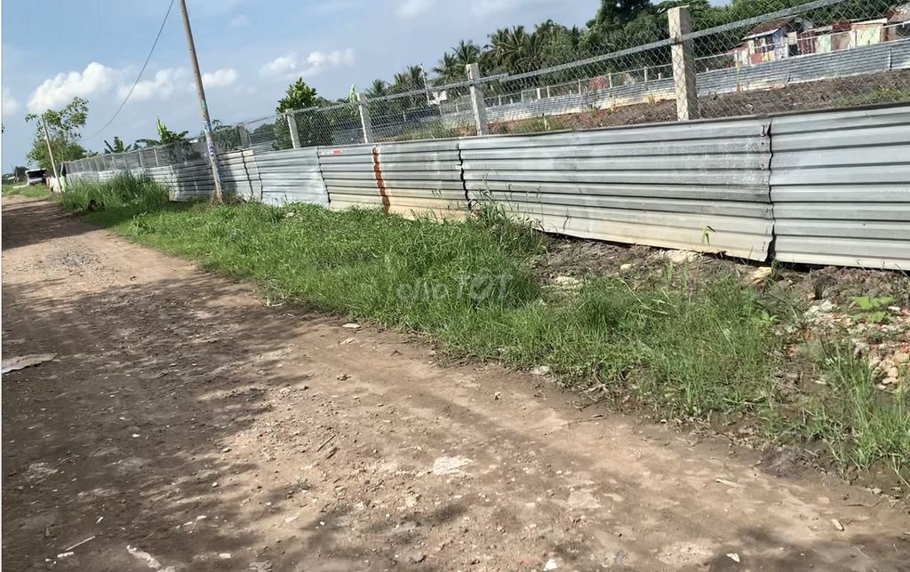 4345190 ảnh đại diện 2
