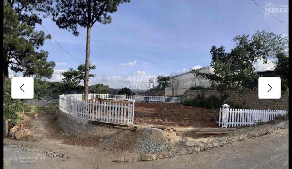 4343257 ảnh đại diện 1
