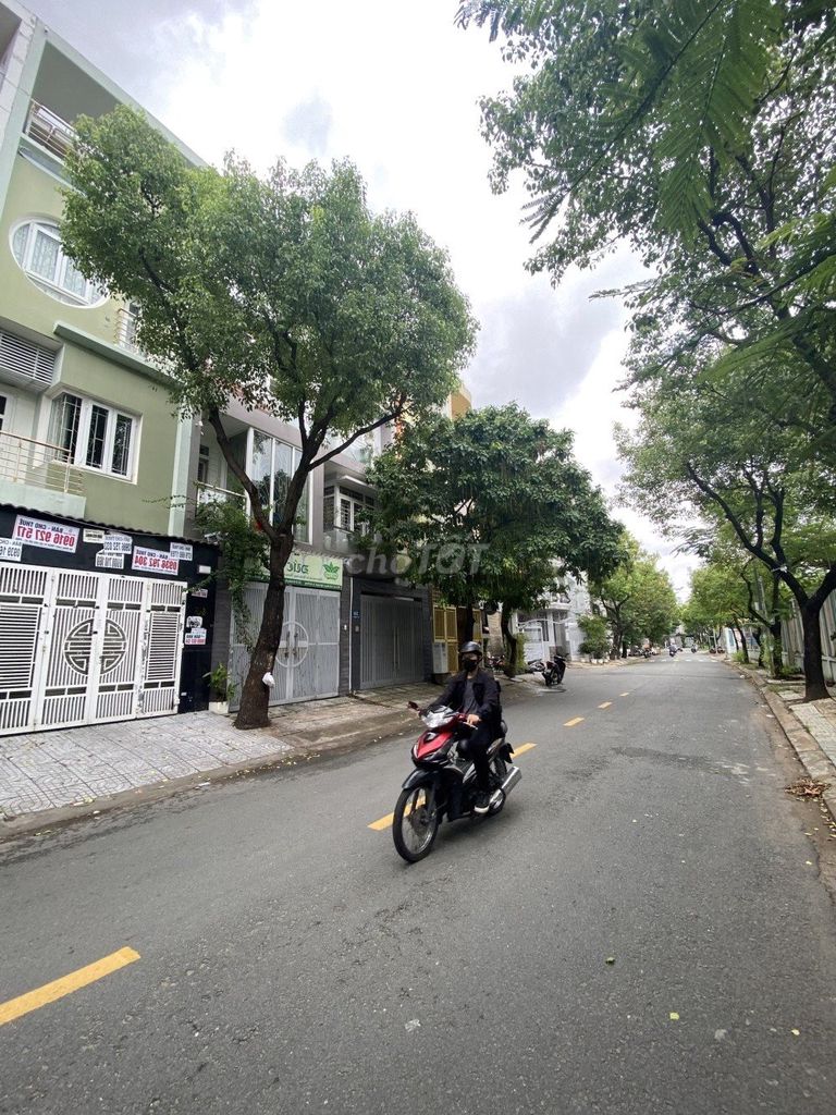 4346847 ảnh đại diện 1