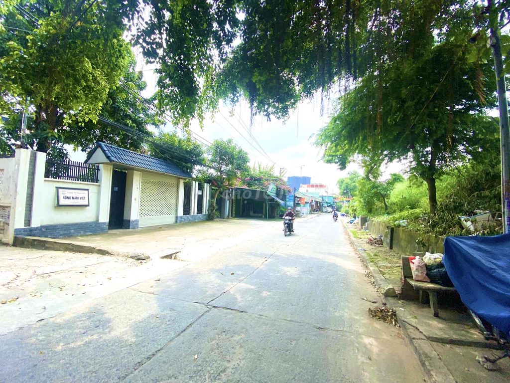 4342059 ảnh đại diện 1