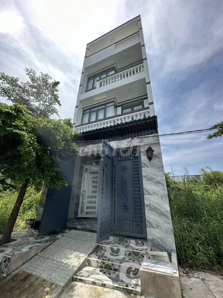 4345343 ảnh đại diện 2
